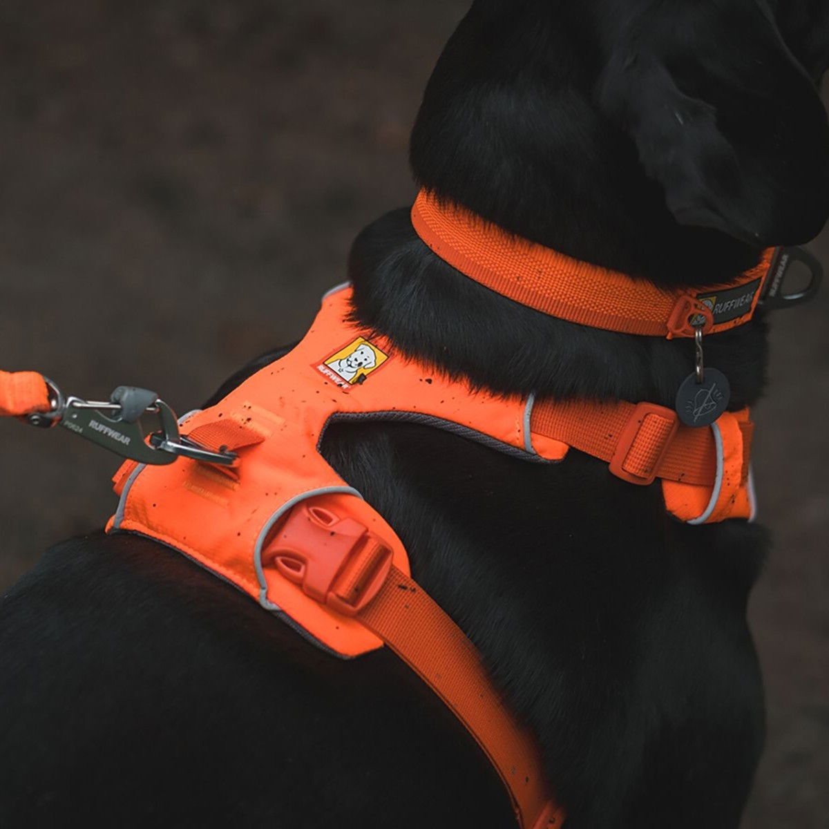 Ruffwear Front Range valjas Blaze Orange