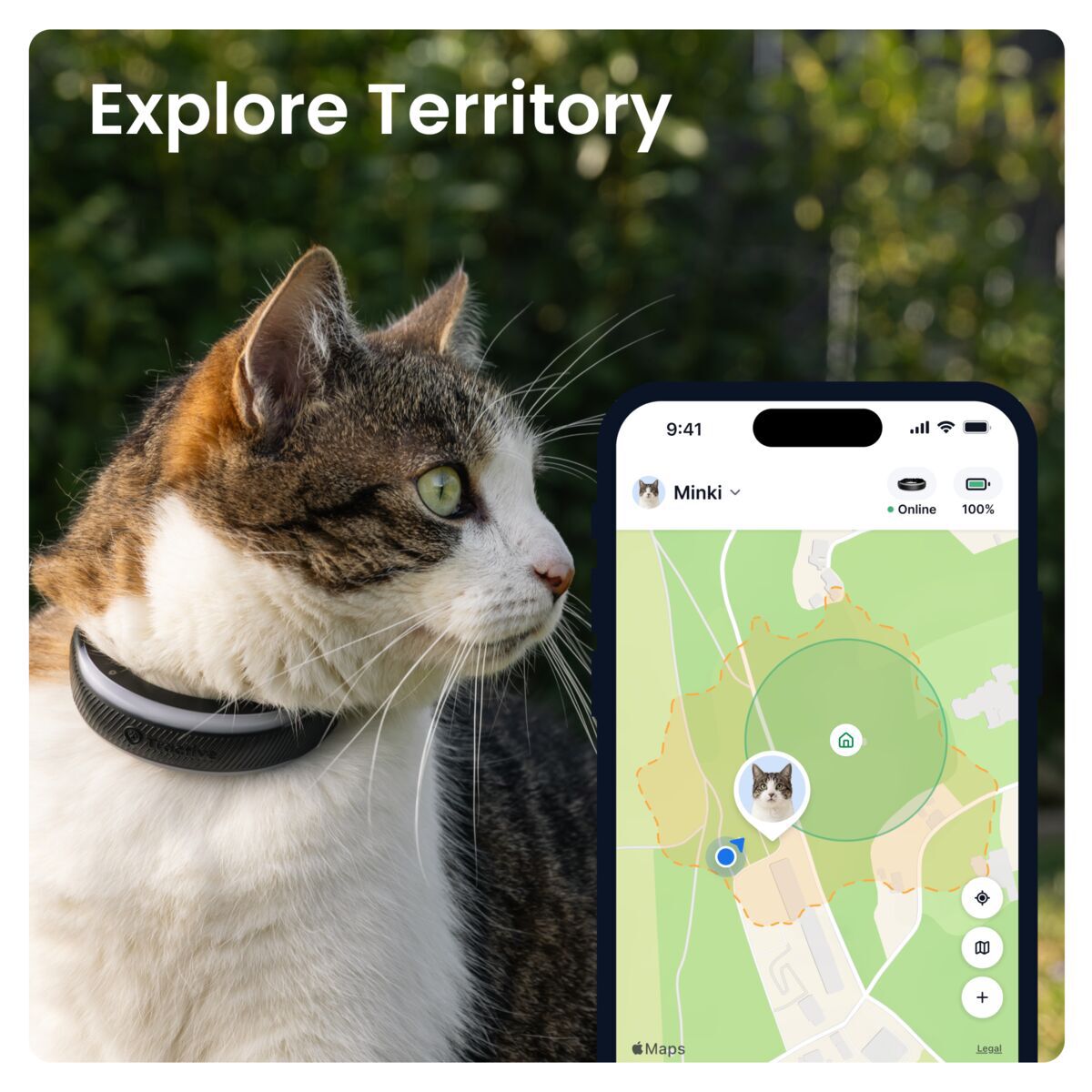 Tractive CAT 6 Mini – GPS paikannin ja terveysseuranta kissoille