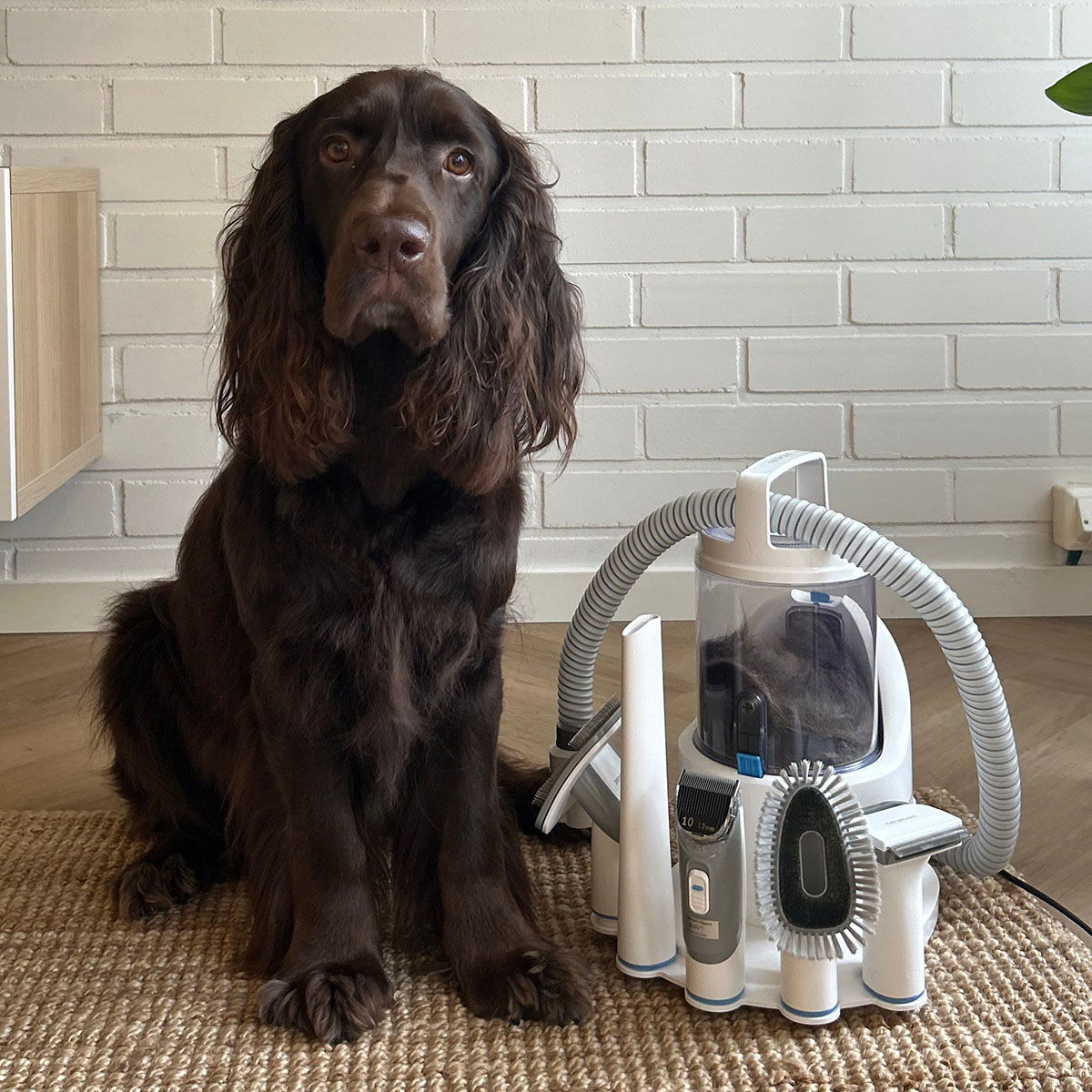 Neakasa P2 Pro turkinhoitosetti