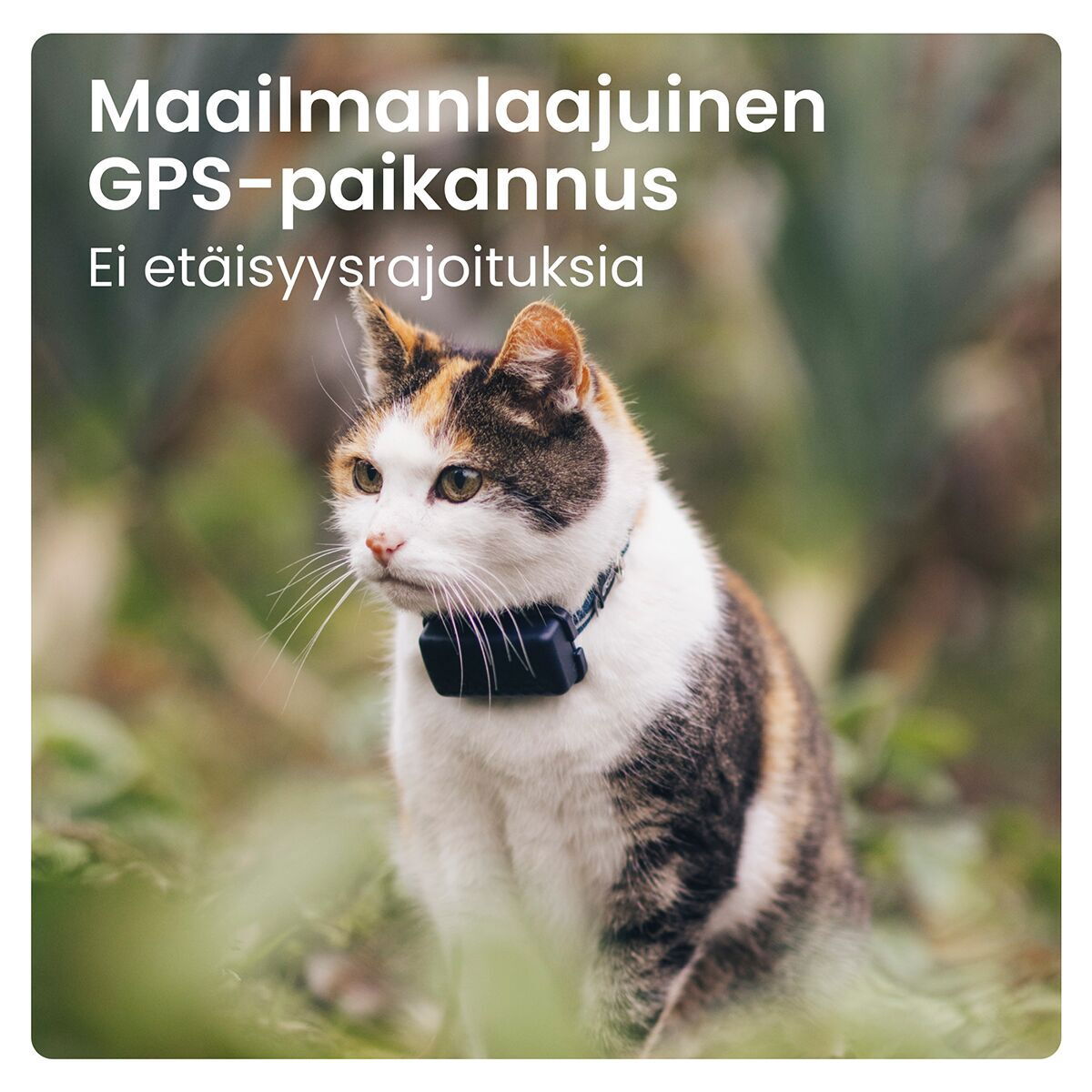 Tractive GPS CAT Mini