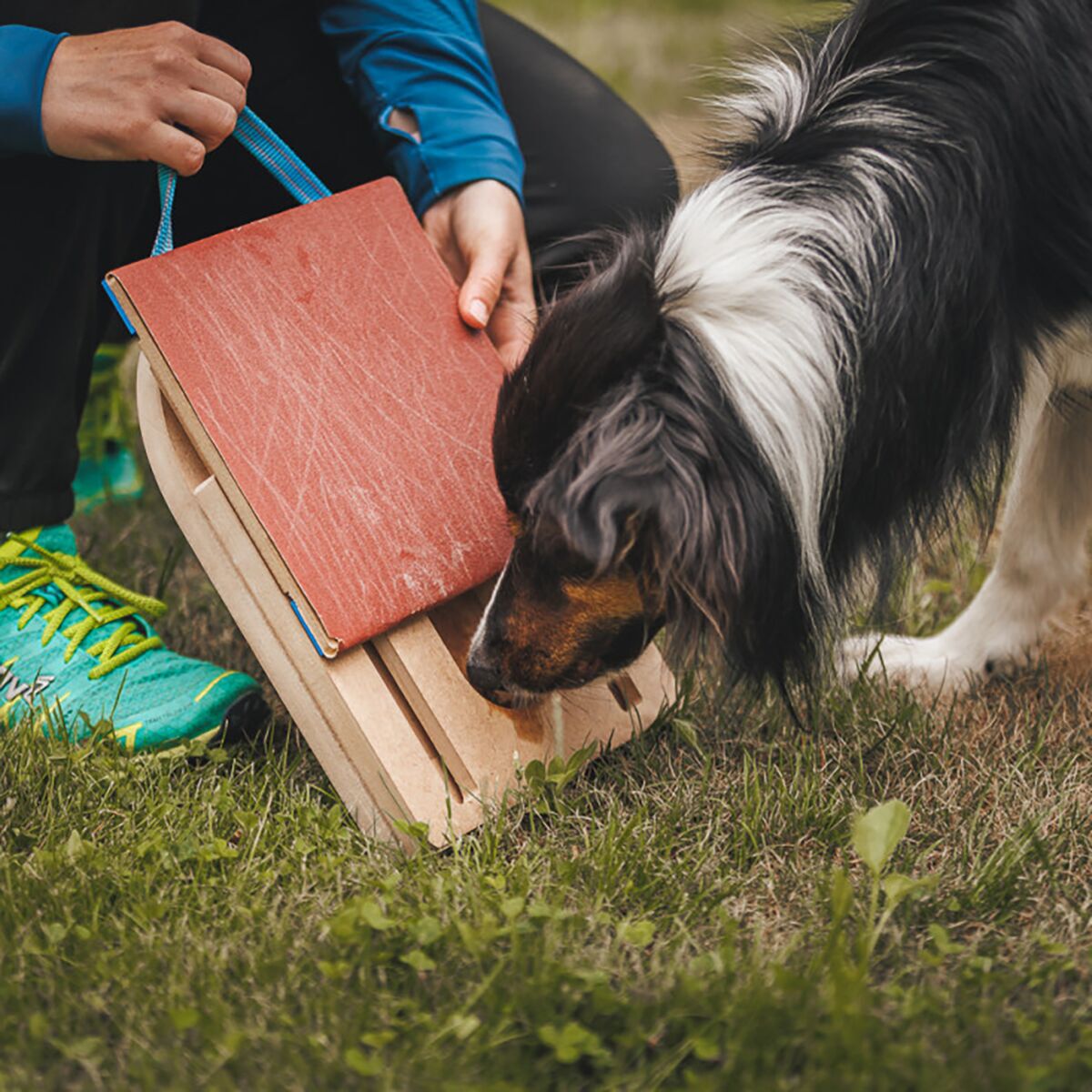 Loype Mani-Pedi Dog Scratcher