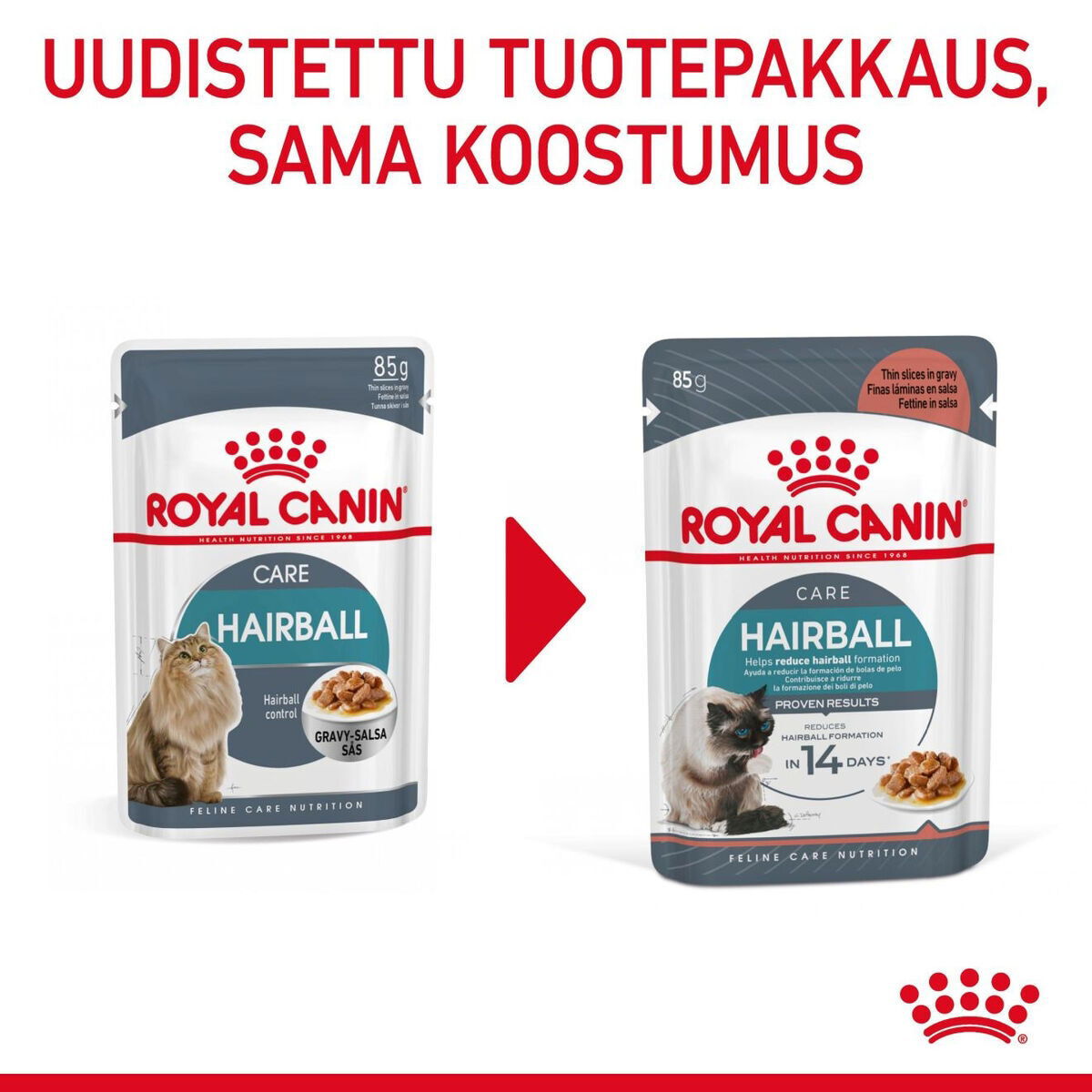 Royal Canin Hairball Care Gravy Adult kissan märkäruoka