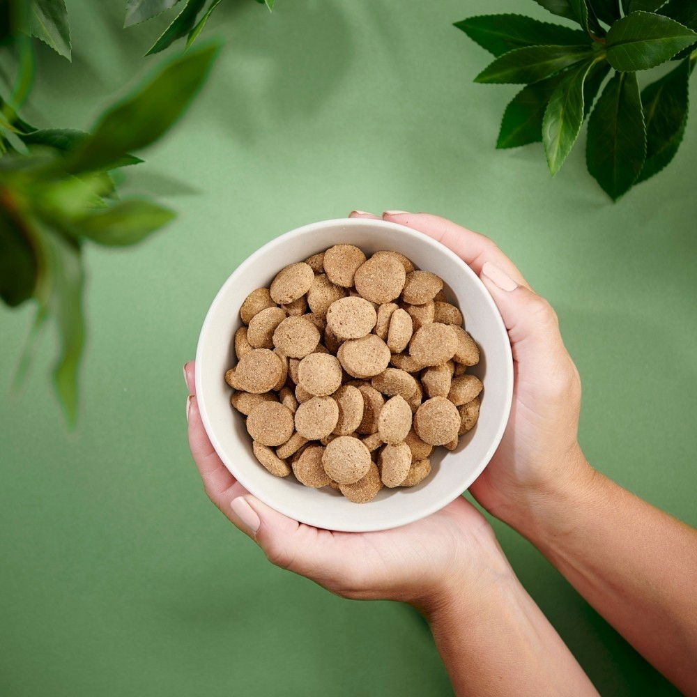 Purenatural Dog Puppy Large