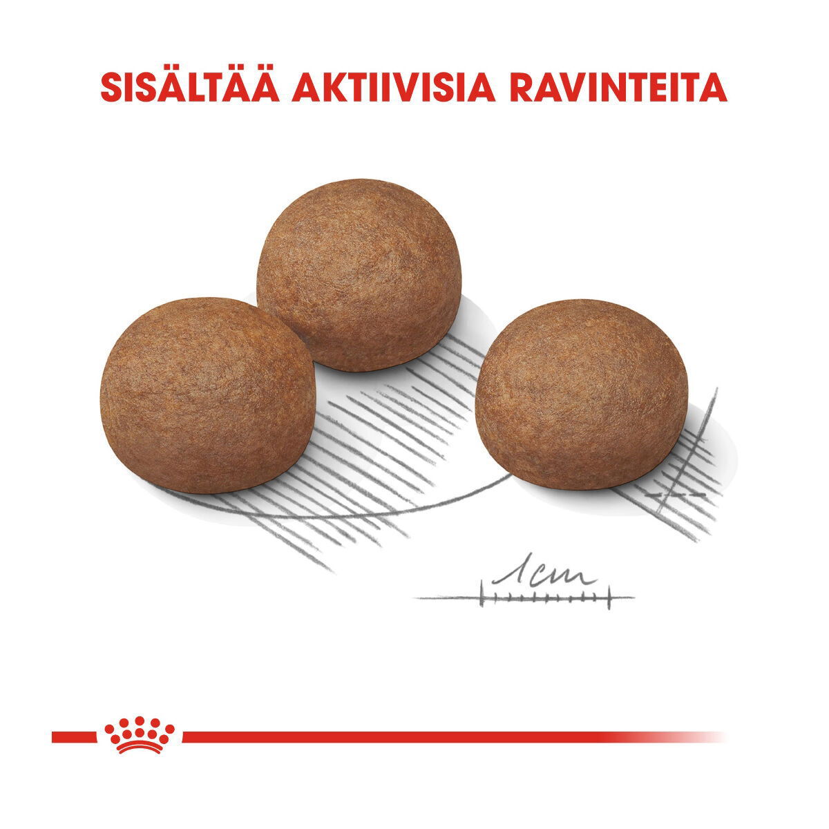 Royal Canin Maxi Digestive Care