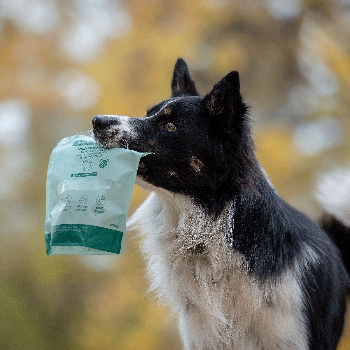 Buddy Freeze-dried Turkey&Tuna 100g