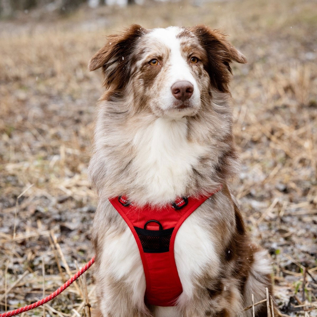 Feel Active Training valjas kirkas punainen