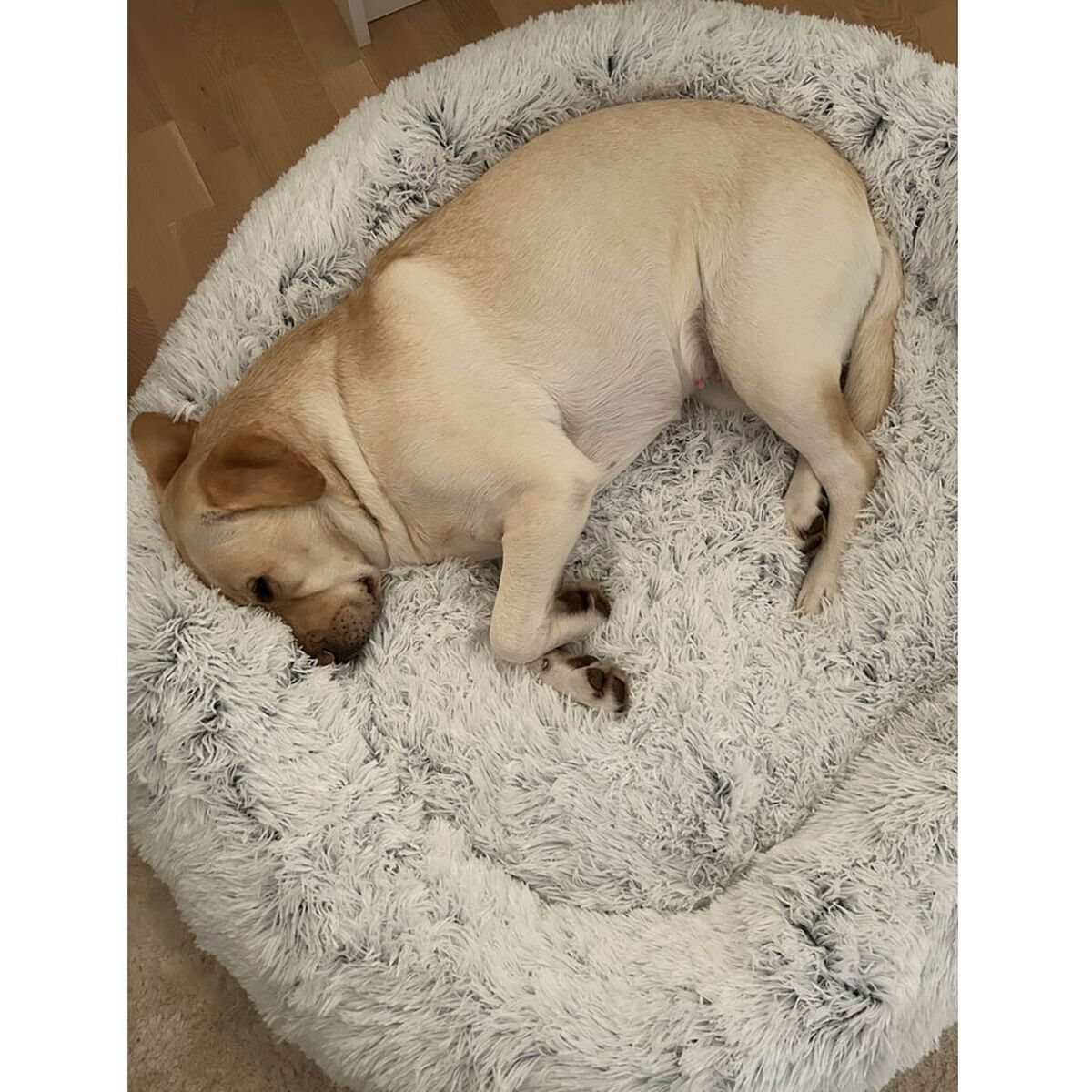 Best Friends by Sheri Donut bed shag, frost