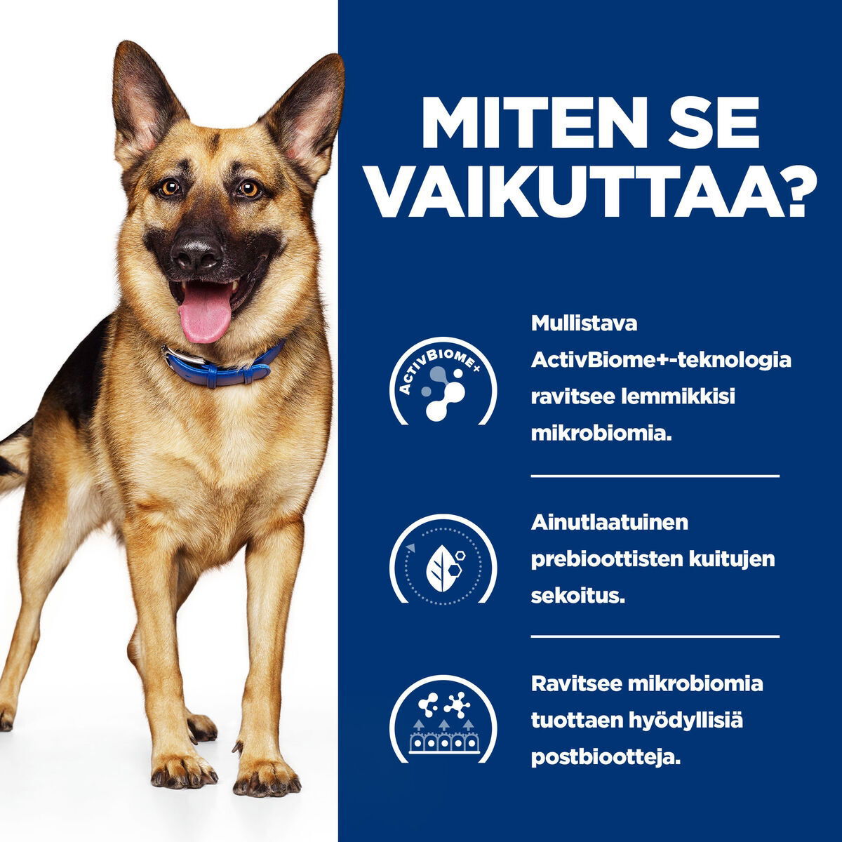 Hill's PD Canine GI Biome Stew Chick&Veg 354g