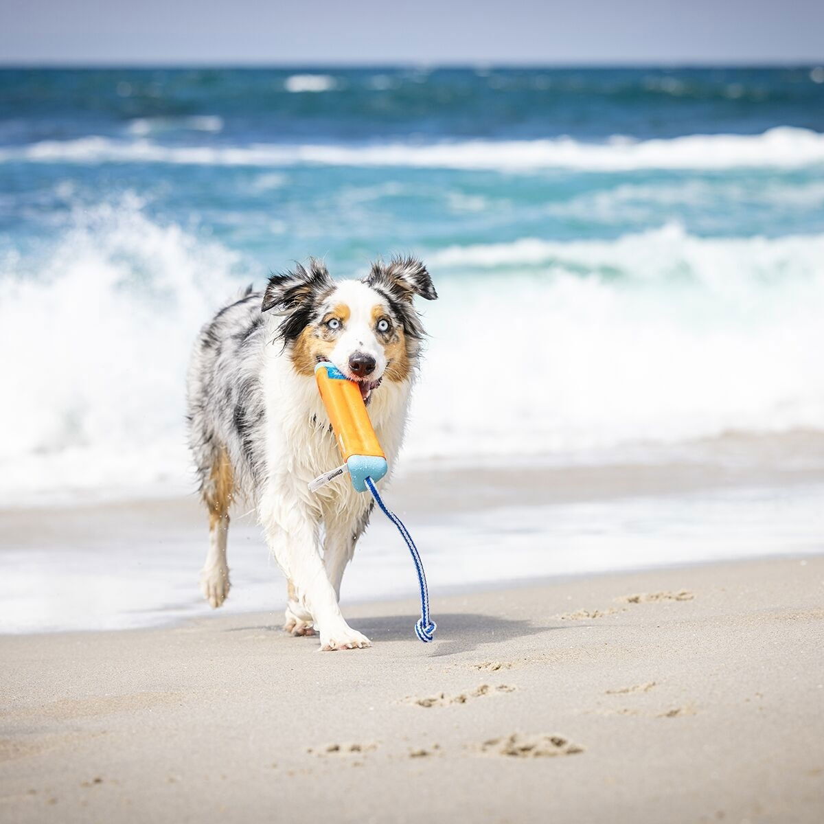 Chuckit Bumper Dummy -noutolelu