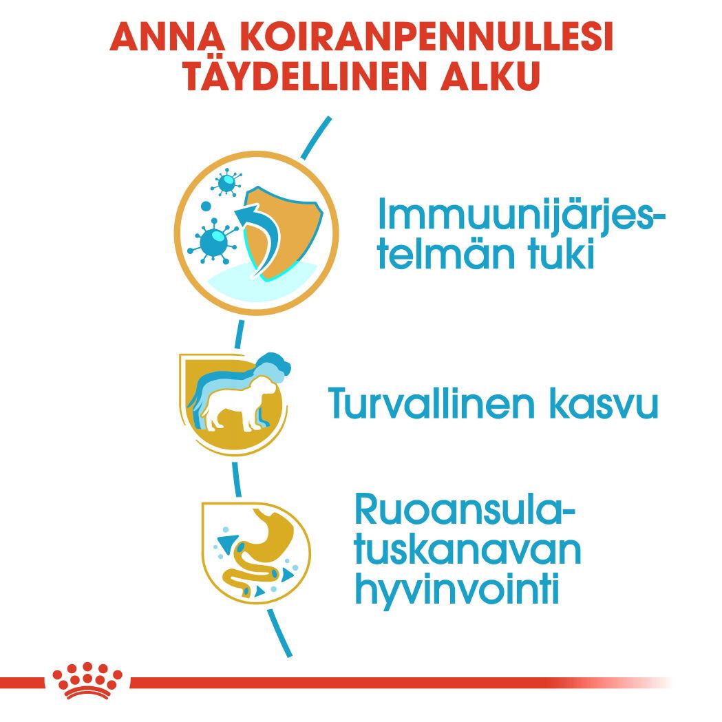 Royal Canin Jack Russel Puppy koiranpennun kuivaruoka