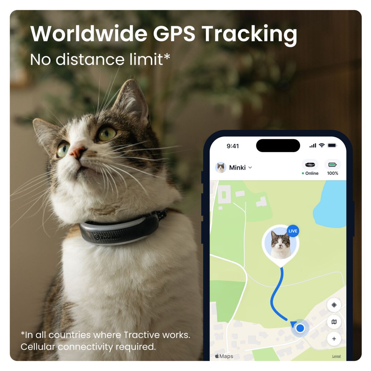 Tractive CAT 6 Mini – GPS paikannin ja terveysseuranta kissoille