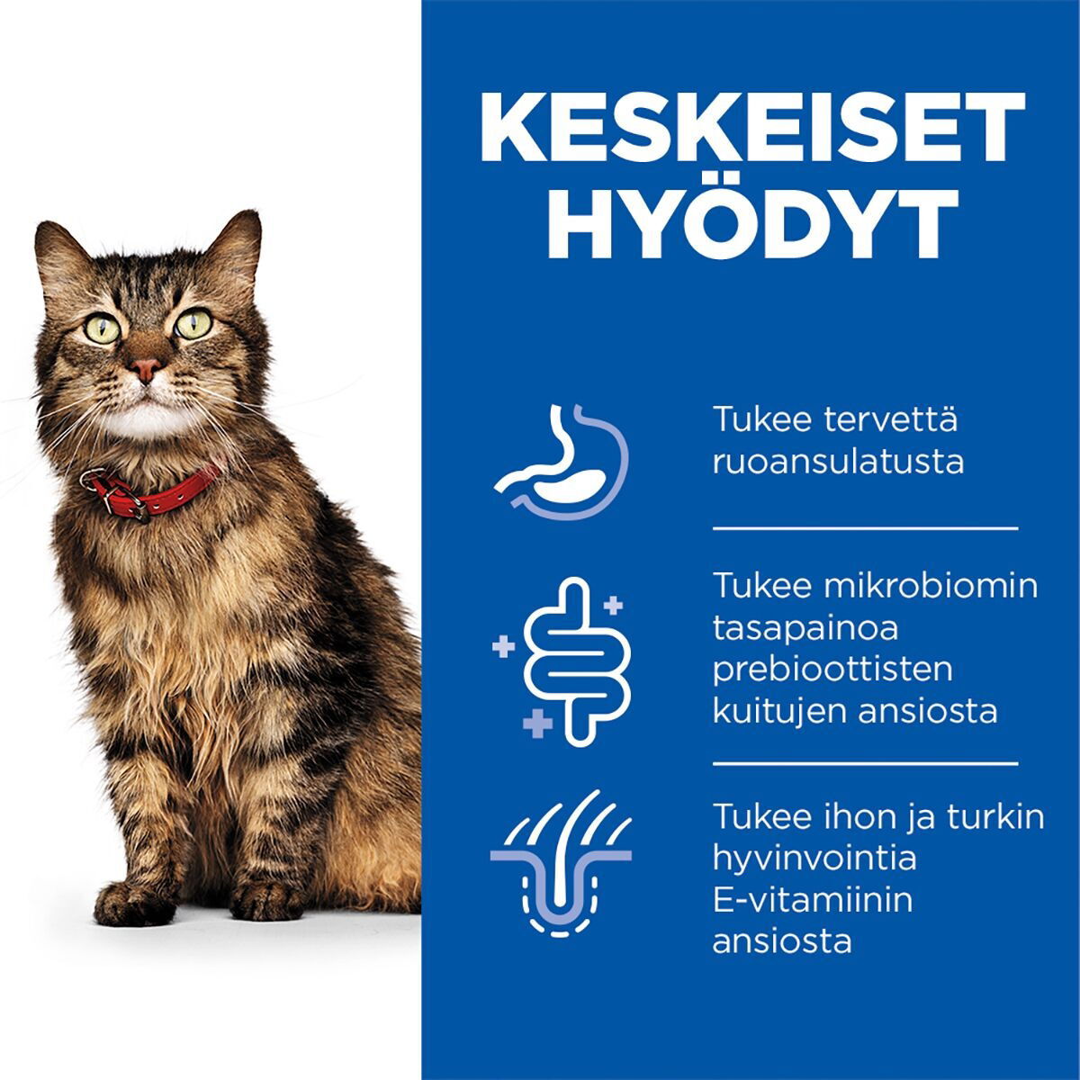 Hill's Science Plan Cat Adult Sensitive Stomach & Skin Turkey 12x85g