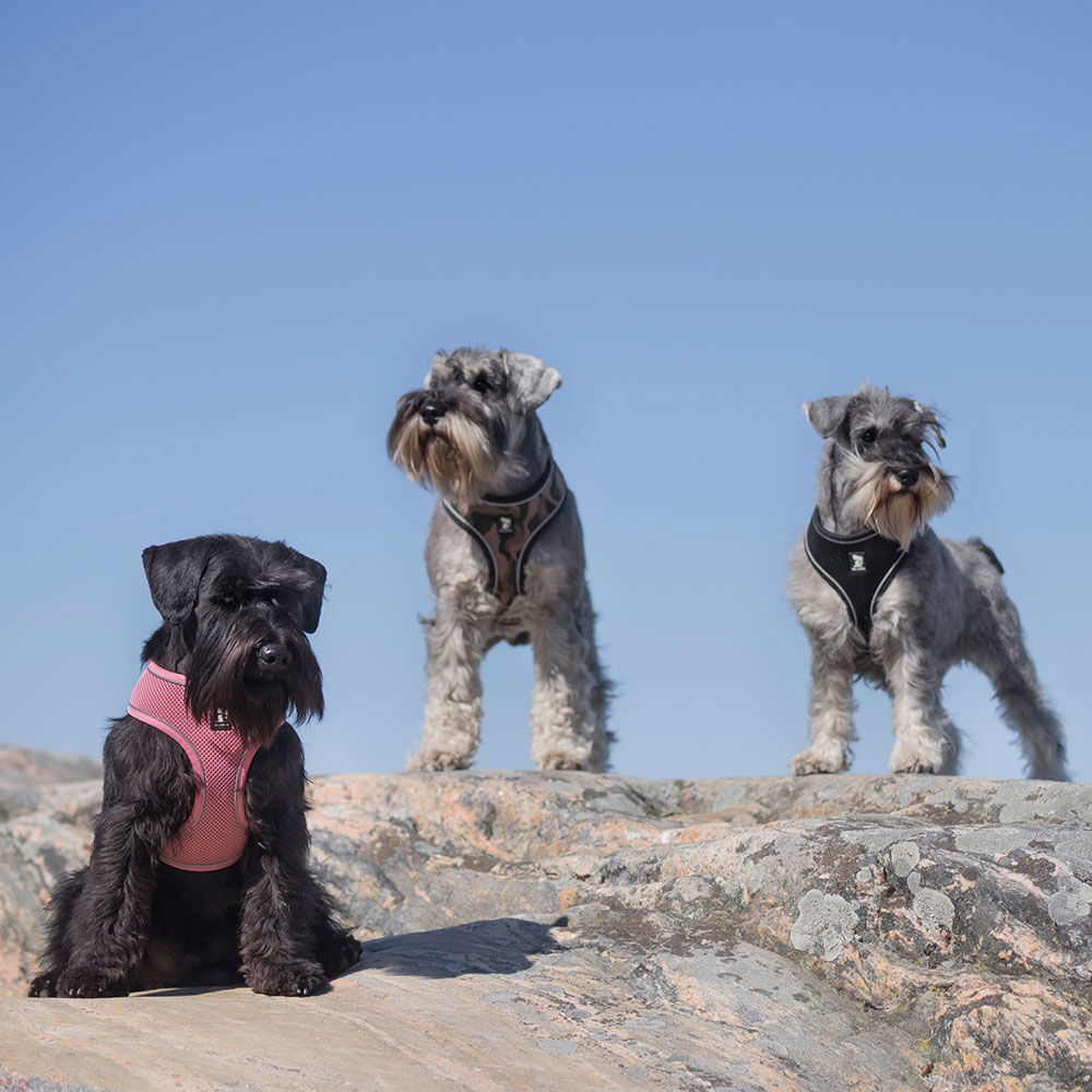 Feel Active Soft liivivaljas rosa