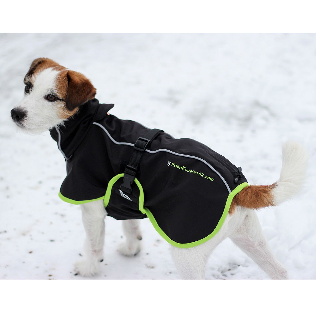 Back on Track Bark - koiran takki, limited edition