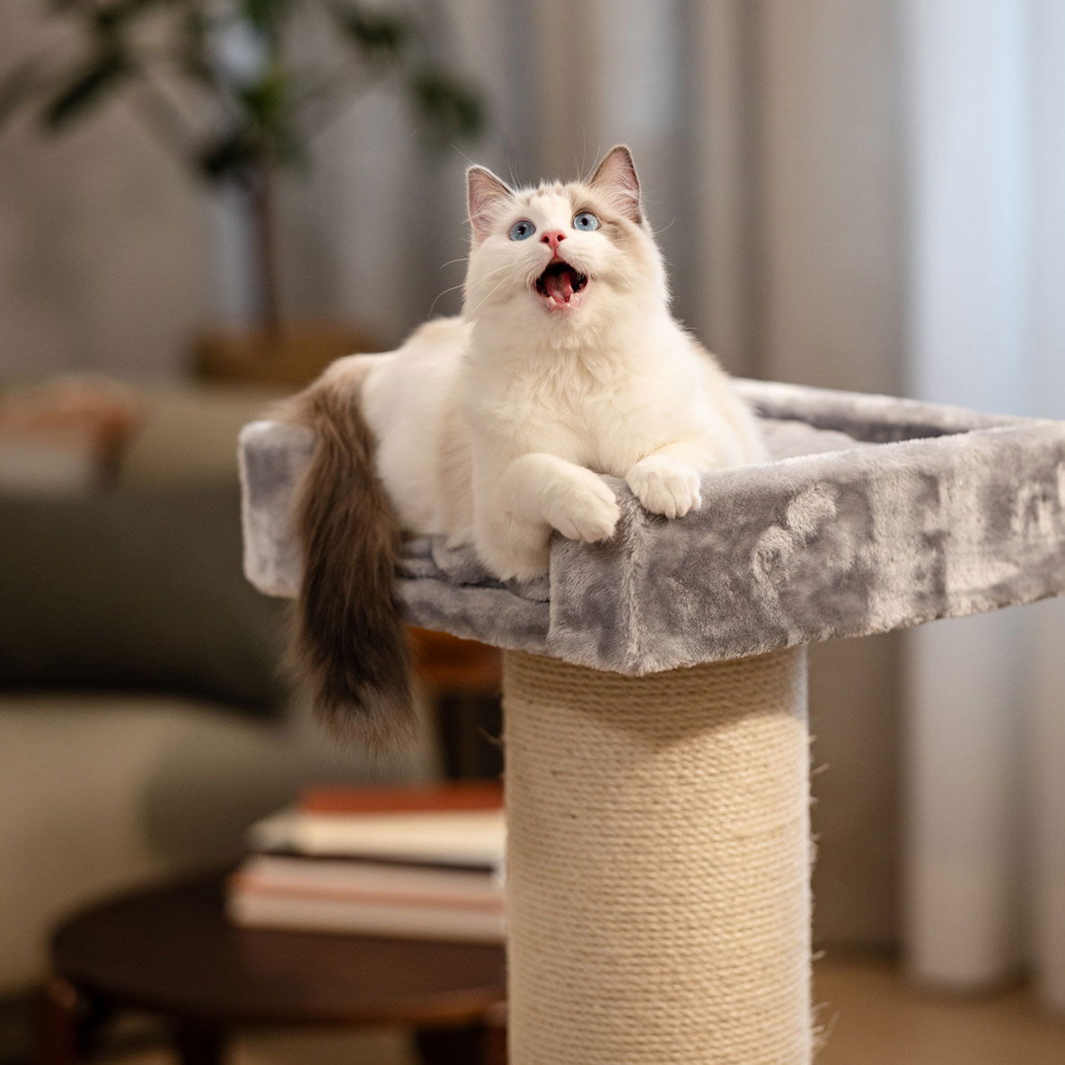 Basic Column raapimapuu S 50x50x100cm