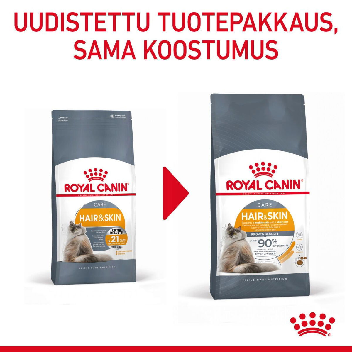 Royal Canin Hair & Skin Care Adult kissan kuivaruoka