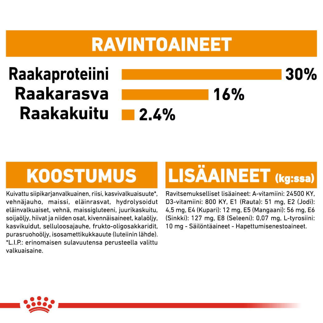 Royal Canin Coat Care Mini Adult koiran kuivaruoka