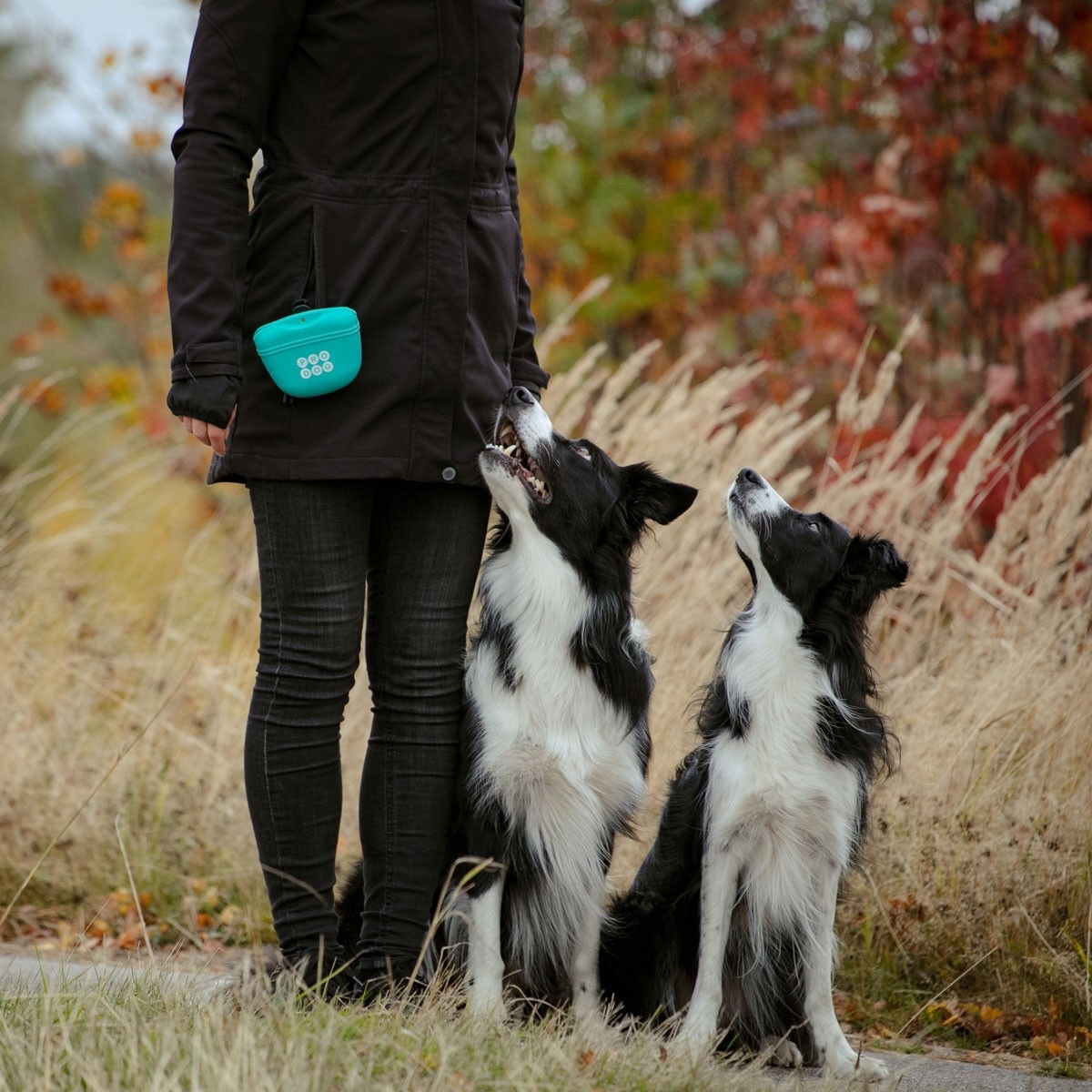 Pro Dog Silikoninen makupalapussi turk