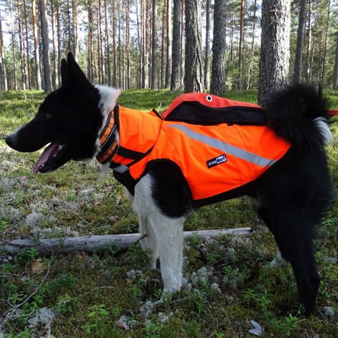 Kevlar-huomioliivi, Kardog