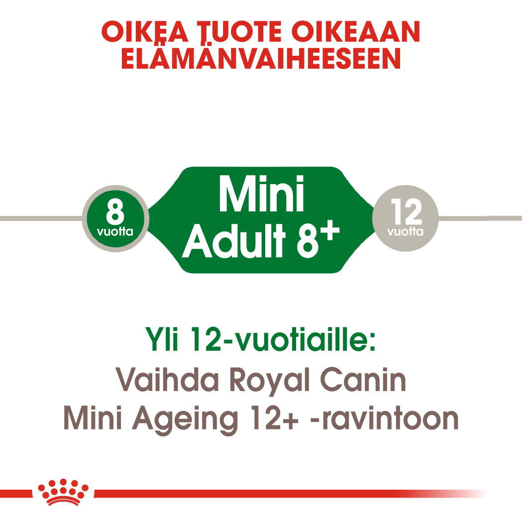 Royal Canin Mini Adult 8+ koiran kuivaruoka