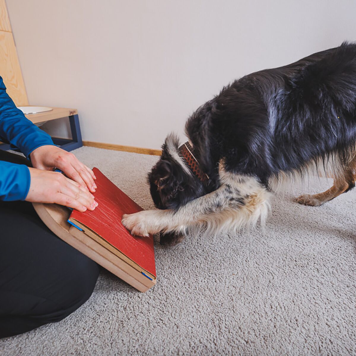 Loype Mani-Pedi Dog Scratcher