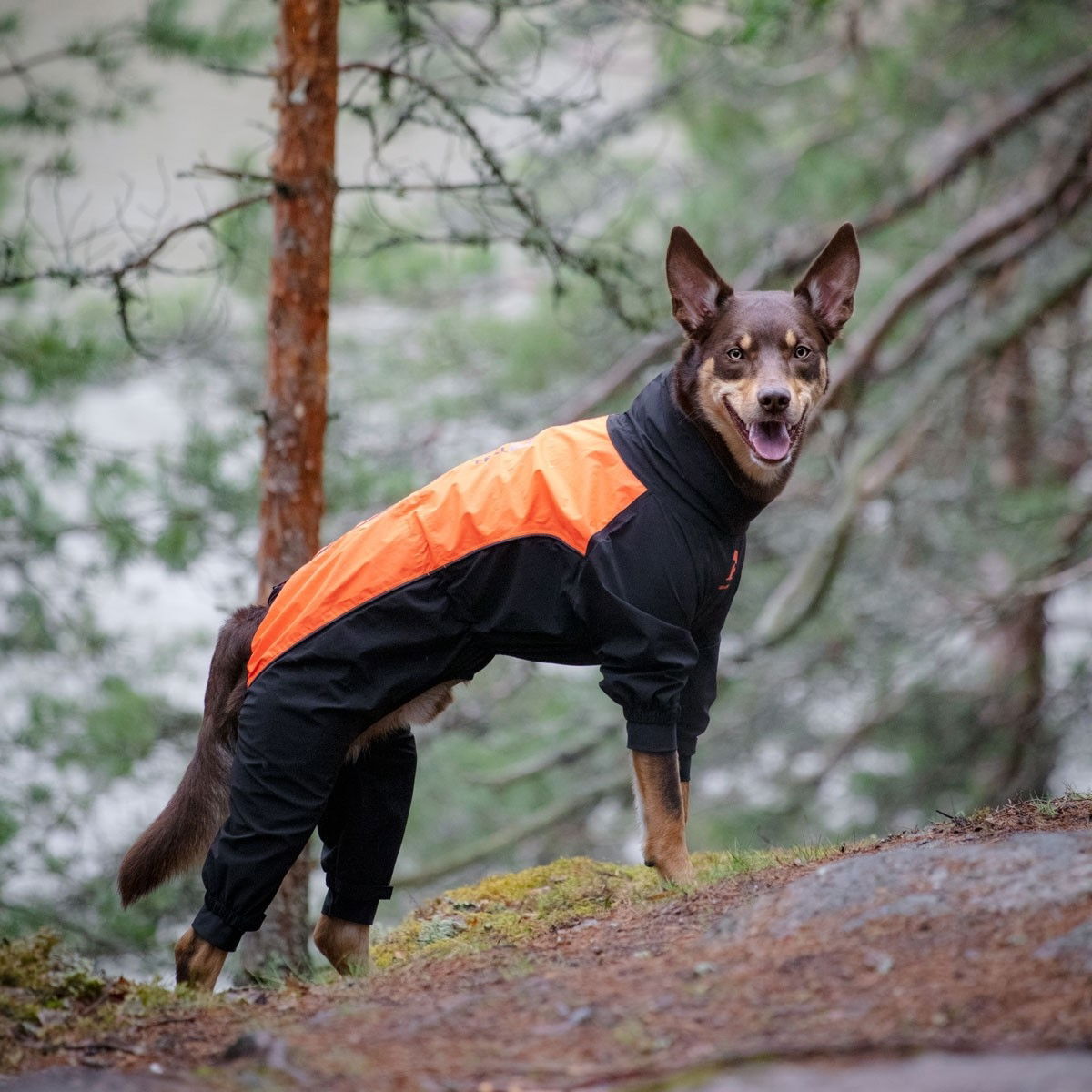 Feel Active Helsingborg ref haalari