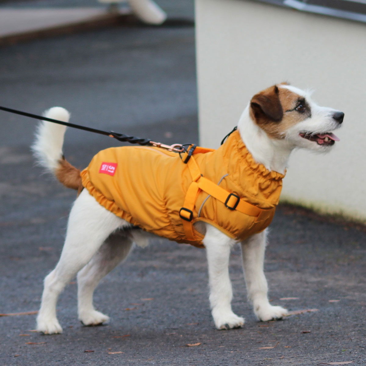 51 Degrees North Adventure Harness Coat, Yellow