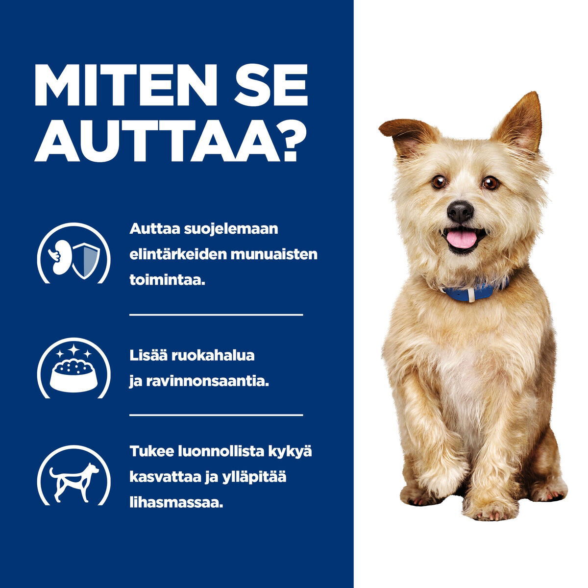 Hill's PD Canine k/d Stew Chicken&Veg 354g