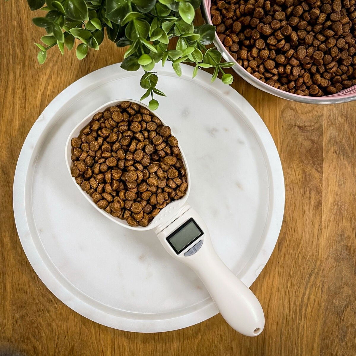 Basic Food scoop with scale