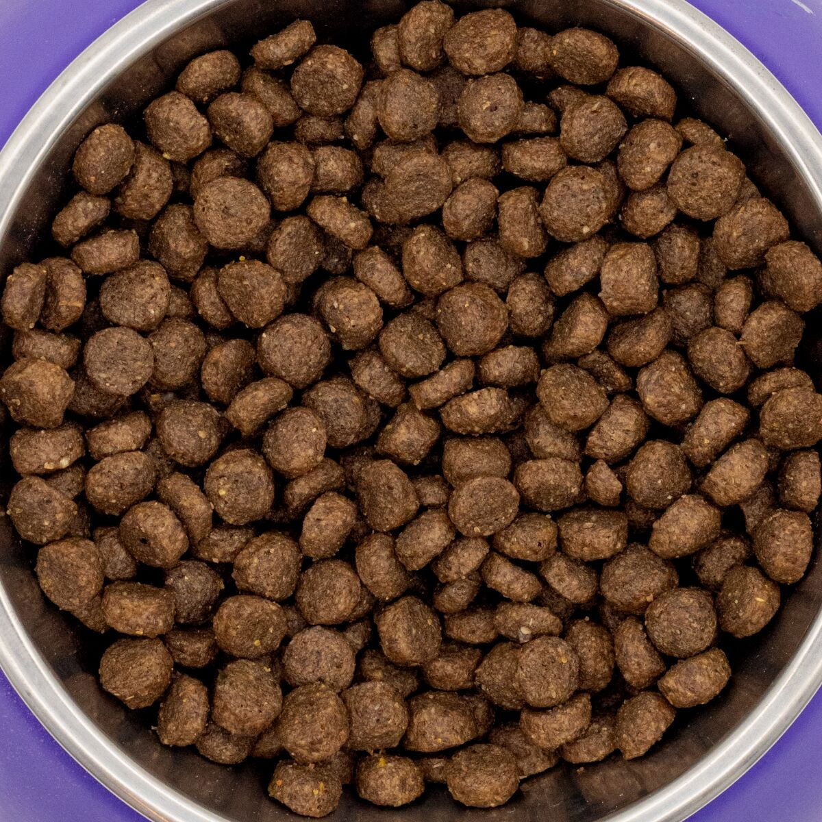 Petgood insect-based cat food adult