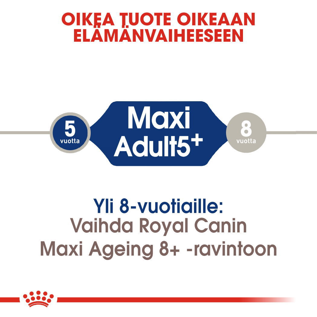 Royal Canin Maxi 5+ Adult koiran kuivaruoka