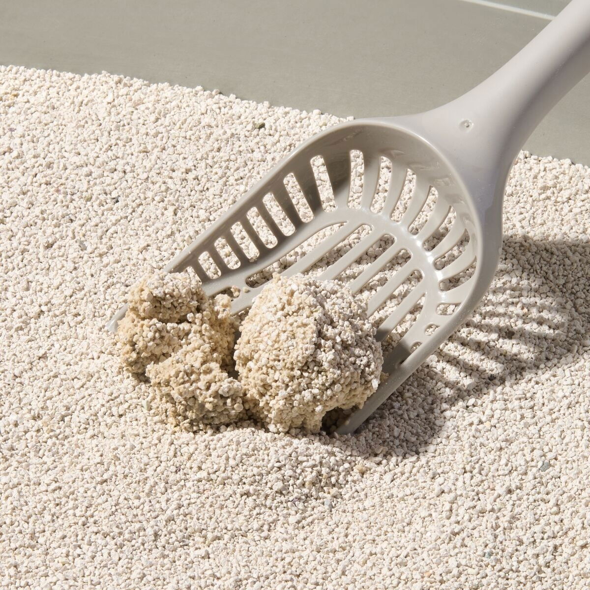 Compact Care Premium White Unscented