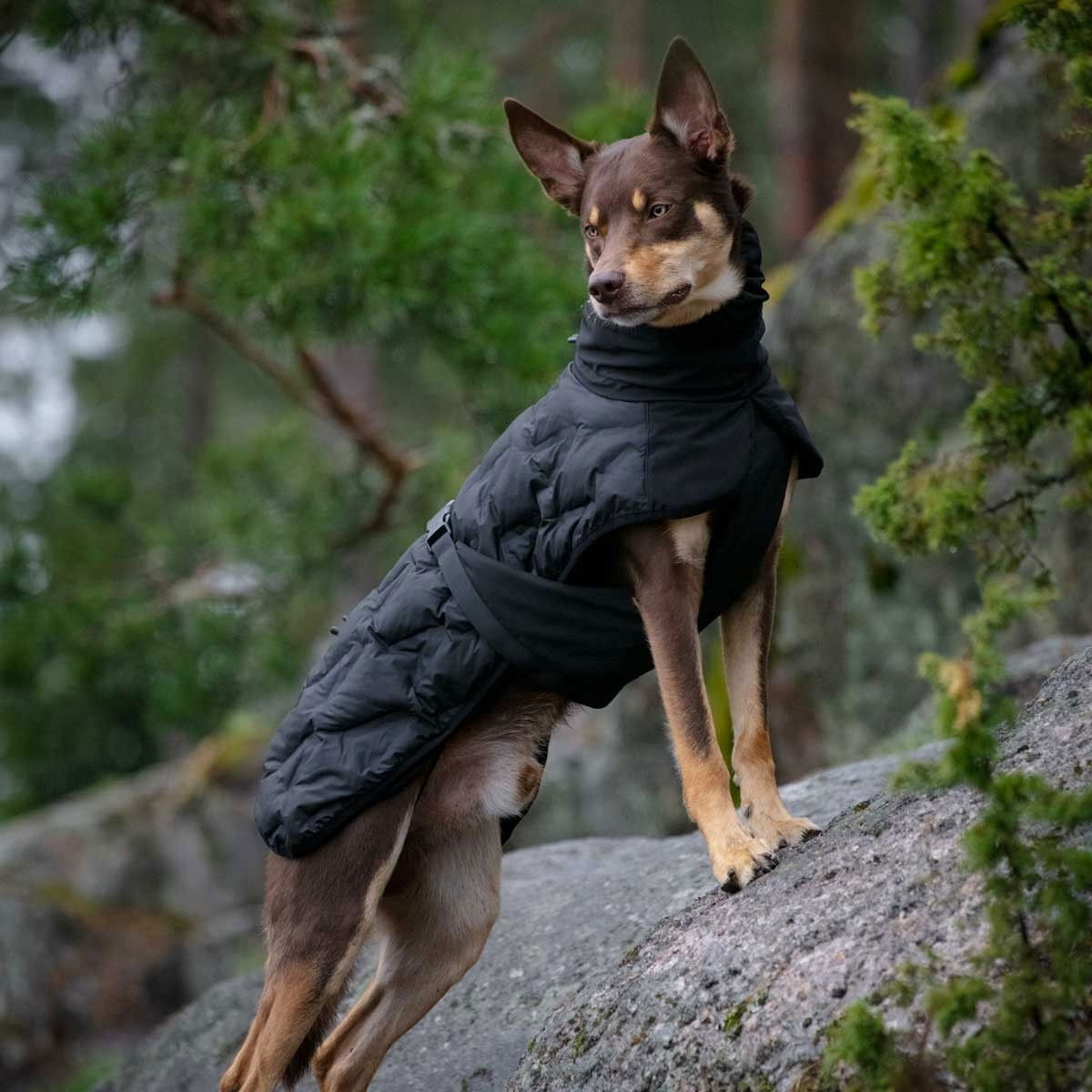 Feel Active Haga parka takki musta