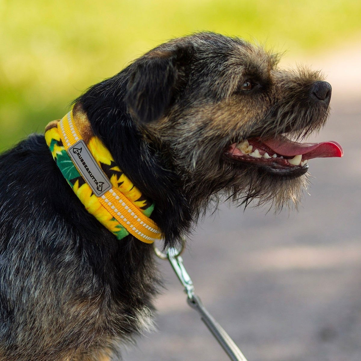 Kusse&Kutta puolikiristävä panta, auringonkukka