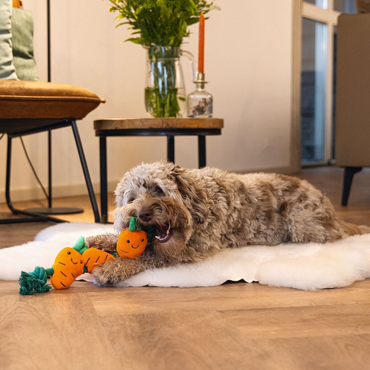 Beeztees Easter Flossy Rope Carrot