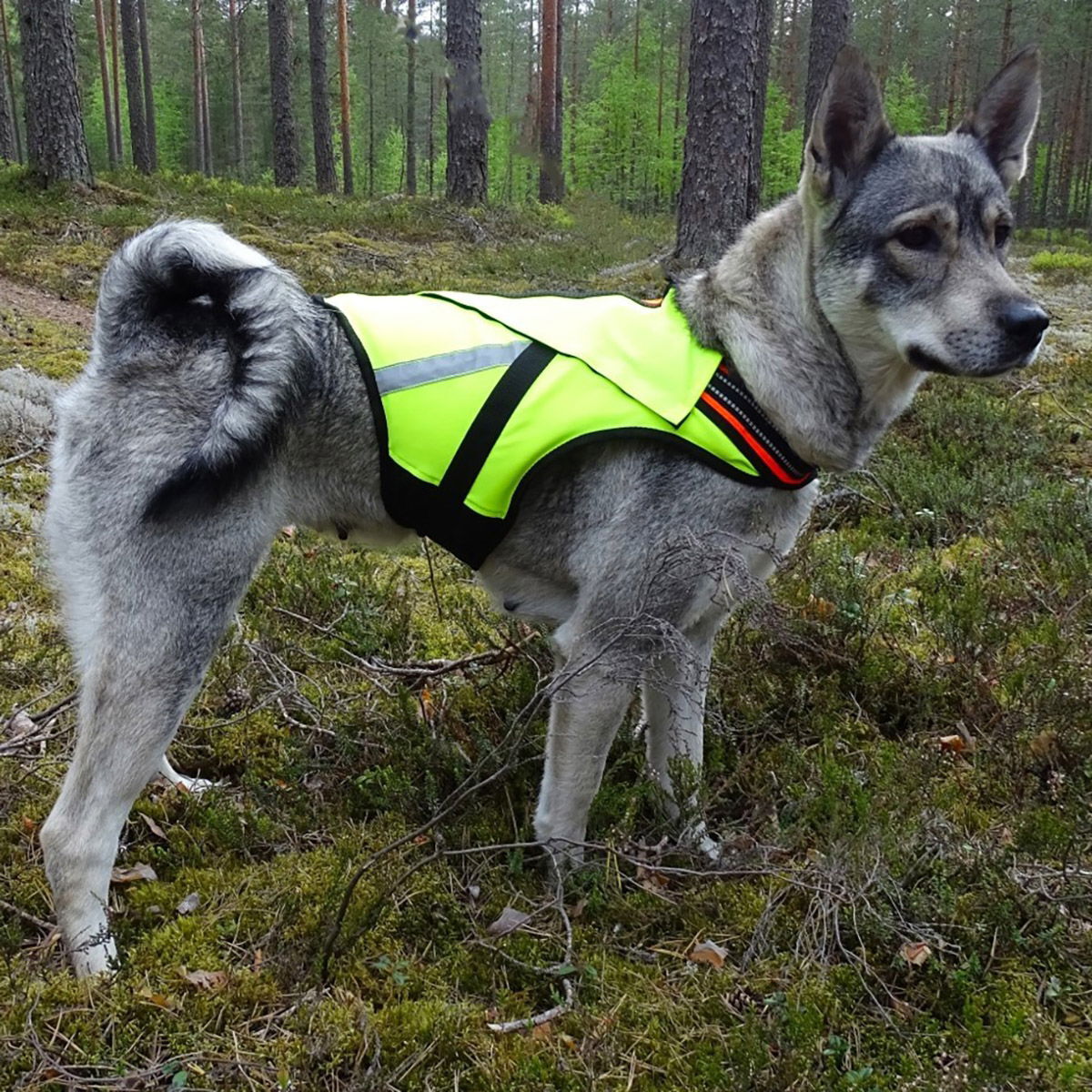 Kardog Floatable vest Jeri