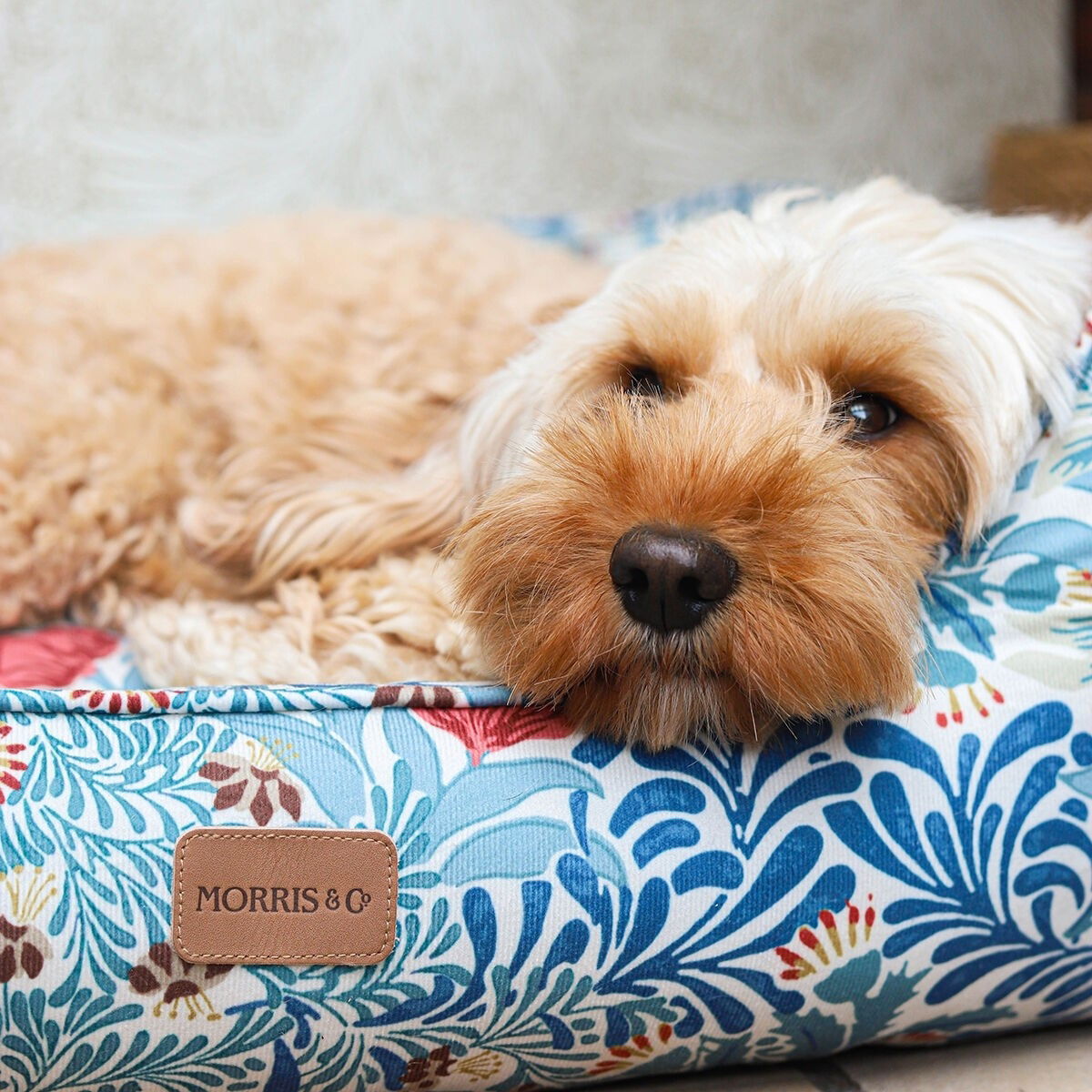 MORRIS & CO square bed bower