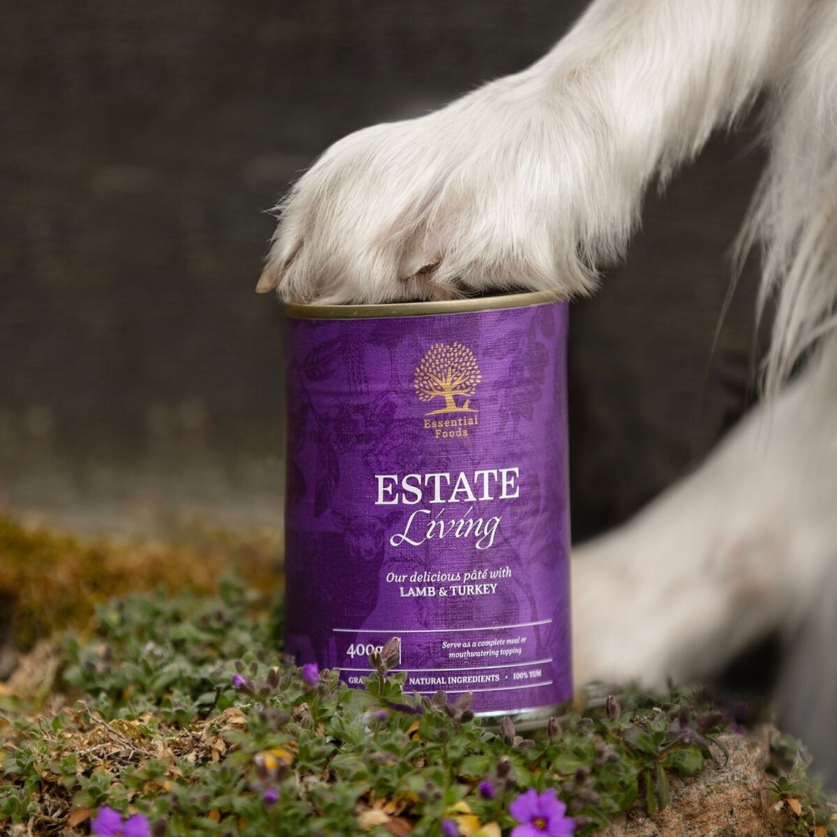 ESSENTIAL ESTATE LIVING PATÉ 400g