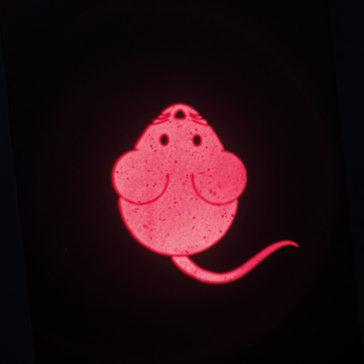 Laservalo Trixie Led mouse, ladattava