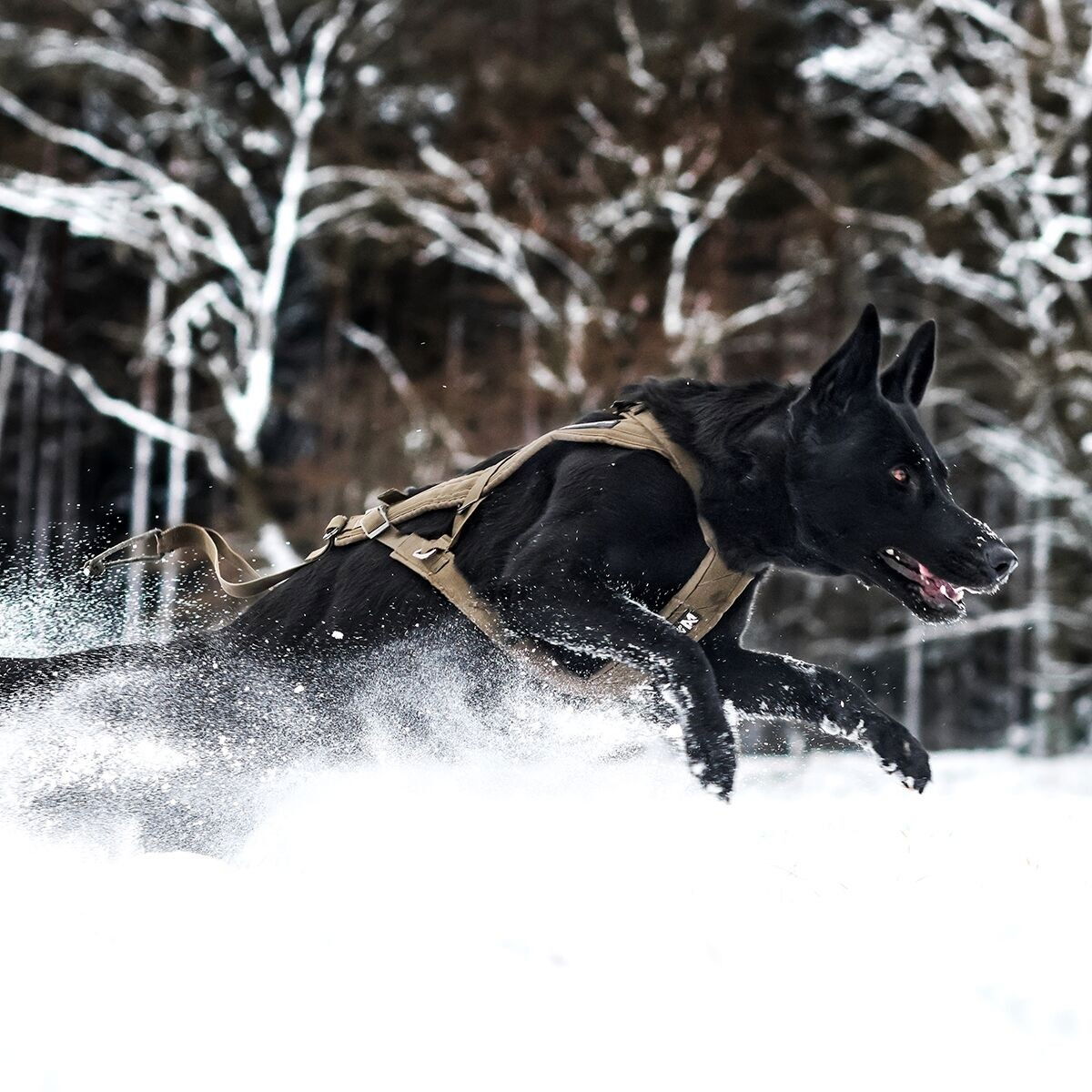 Non-Stop Freemotion harness defense, green