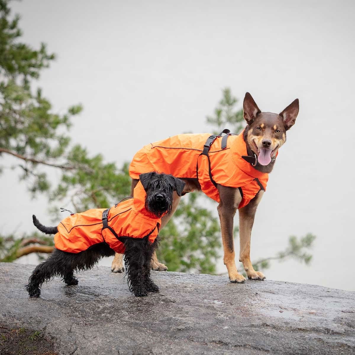 Feel Active Color refl sadetak ora