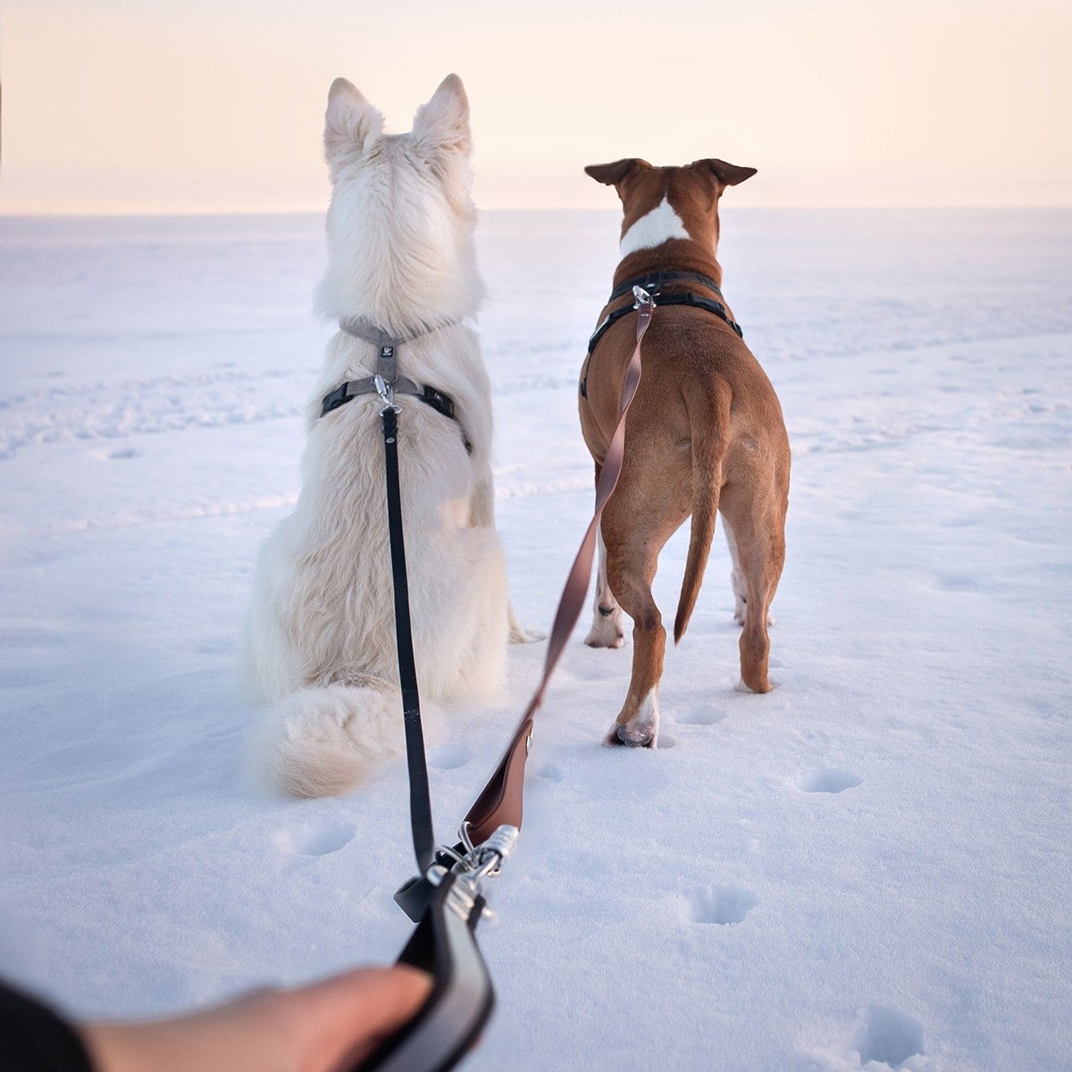 Tyylivoitto Ready käsilenkki Twistlock