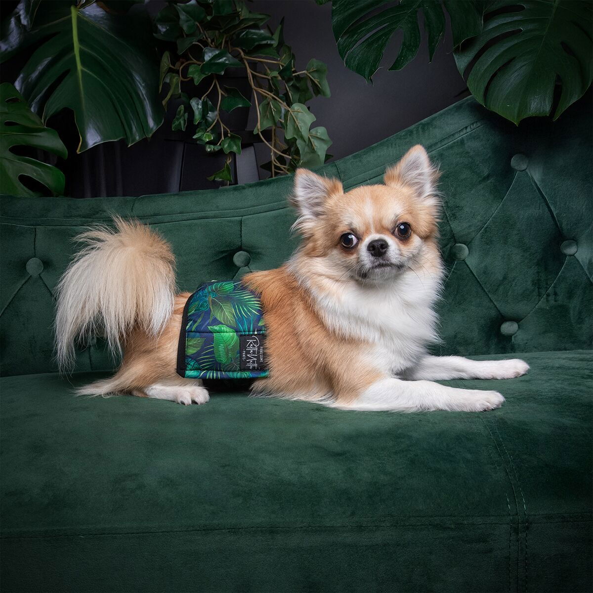 RuttuNuttu male wrap Jungle monstera