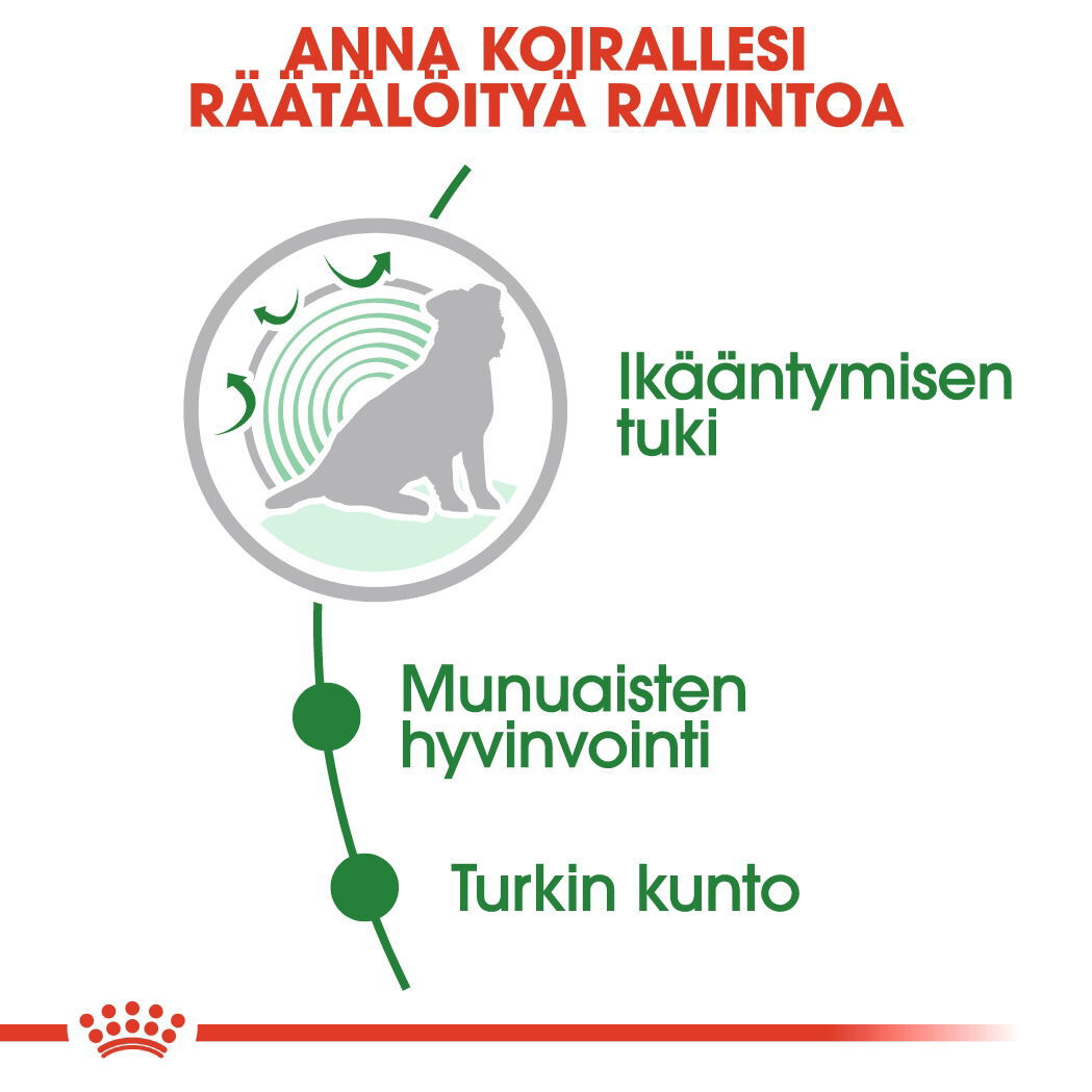 Royal Canin Mini Ageing Gravy koiran märkäruoka