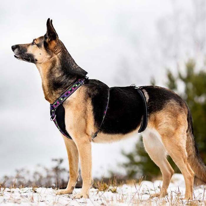 Rescue valjas stoppari, musta