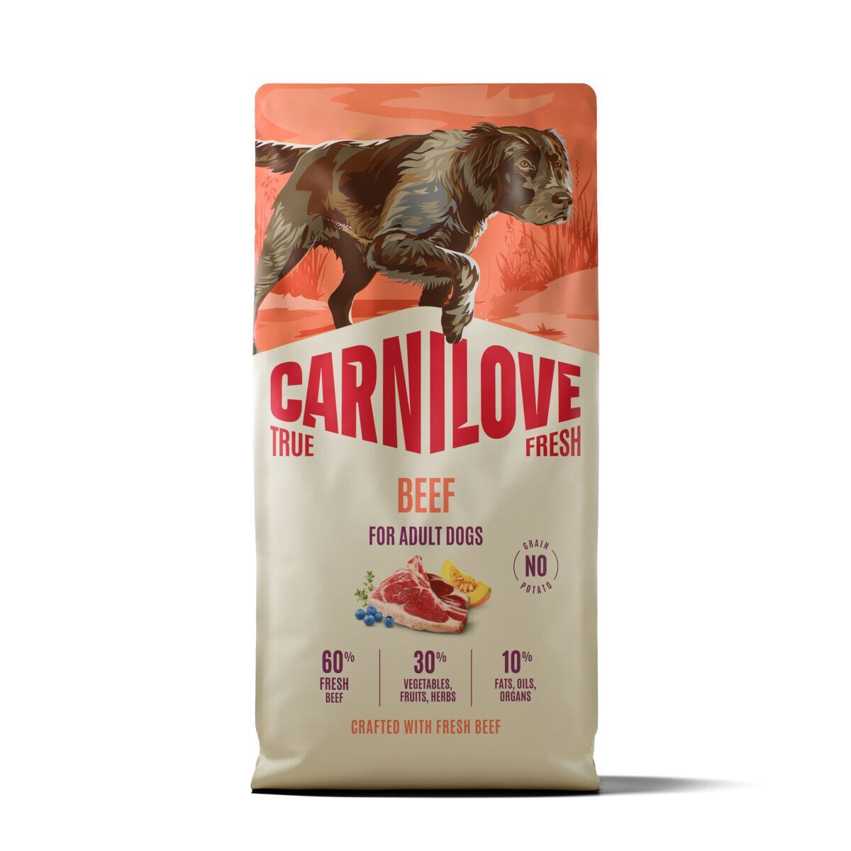 CARNILOVE TRUE FRESH dog dry beef for adult all breeds