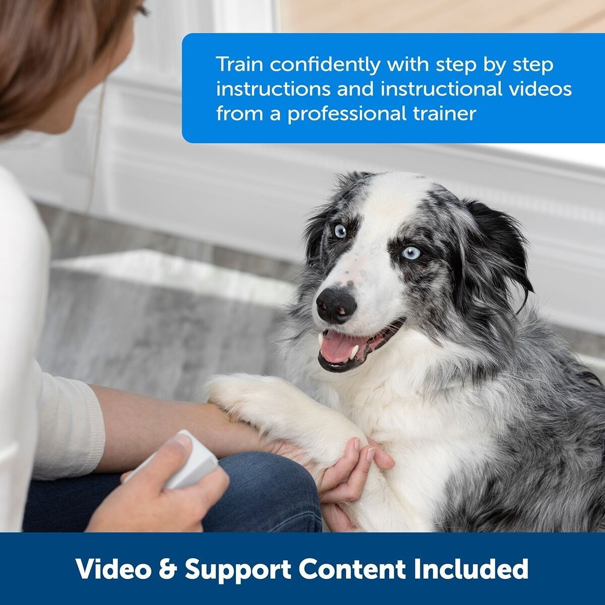 PetSafe® Teach & Treat Reward Trainer