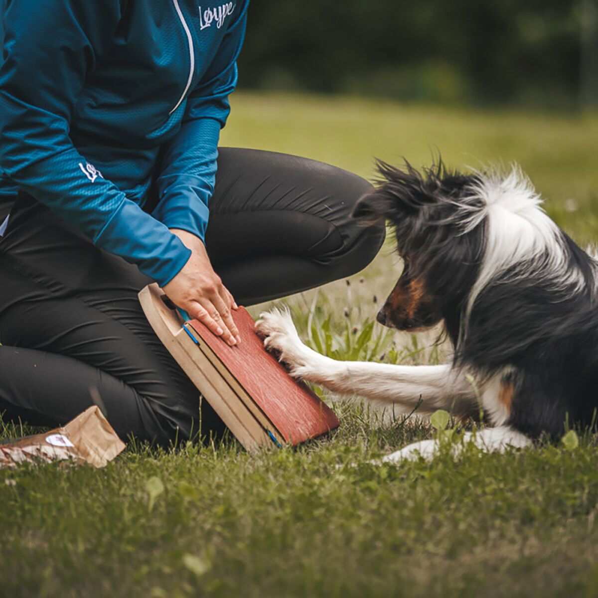 Loype Mani-Pedi Dog Scratcher
