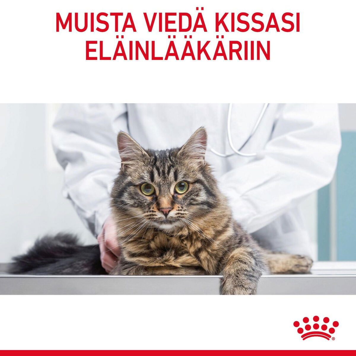 Royal Canin Hairball Care Gravy Adult kissan märkäruoka