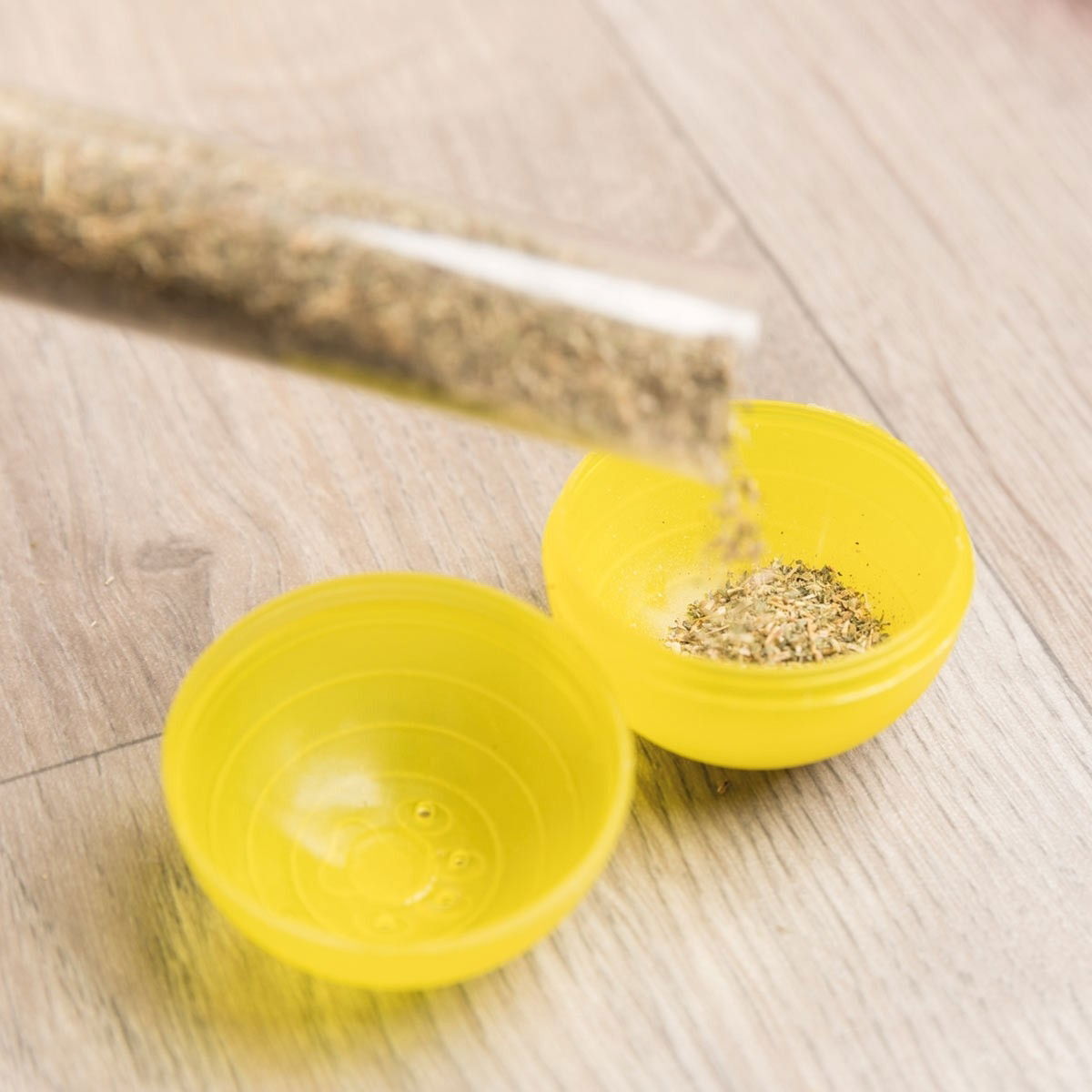 Aktivointilelu Trixie Race & Scratch